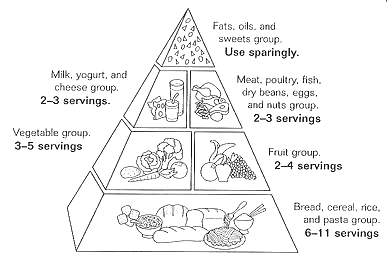 FIGURE 8.1. The Food Guide Pyramid